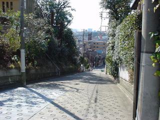 DSC00757.JPG