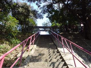 DSC00761.JPG