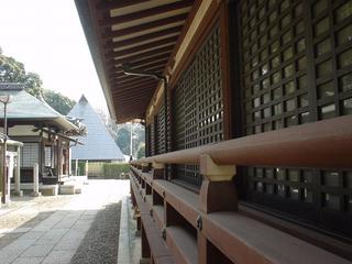 DSC00783.JPG