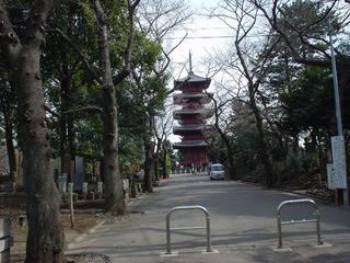 DSC00796.JPG