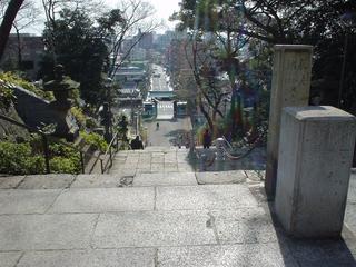 DSC00800.JPG