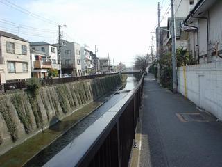 DSC00801.JPG