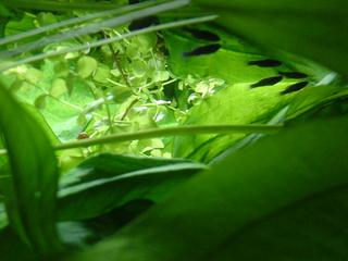DSC01004.JPG