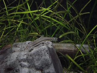 DSC01123.JPG