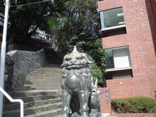 DSC01130.JPG