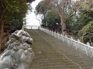 DSC01133.JPG