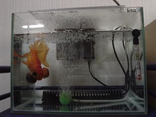 DSC01296.JPG