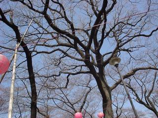 DSC01751.JPG