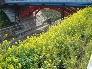 DSC01819.JPG