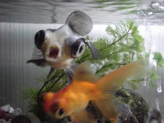 DSC0208-2.jpg