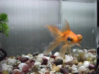 DSC0210-2.jpg