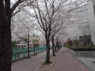 DSC02224.JPG