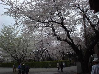 DSC02240.JPG
