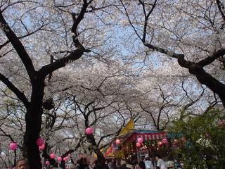DSC02314.JPG