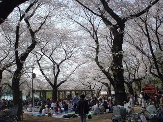DSC02326.JPG