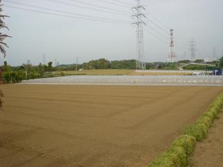 DSC02884.JPG