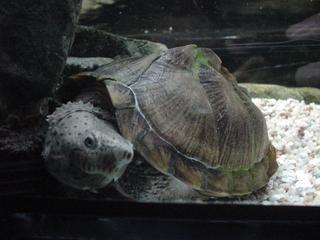DSC03002.JPG