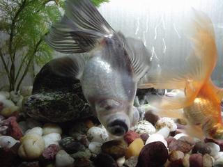 DSC0301-5.jpg