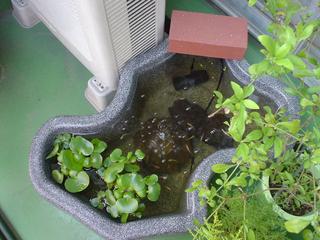 DSC03024.JPG