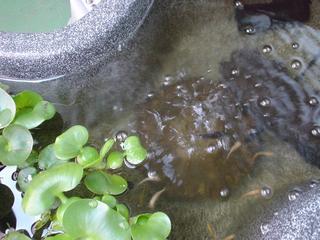 DSC03027.JPG