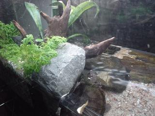 DSC03074.JPG