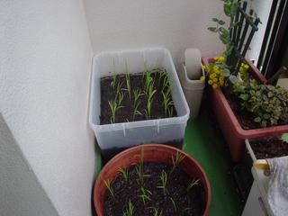 DSC03149.JPG