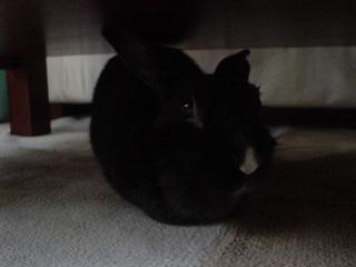 DSC03211.JPG