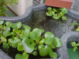 DSC03212.JPG