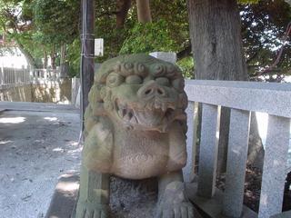 DSC03411.JPG