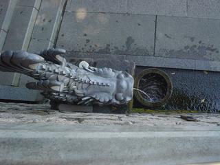 DSC03425.JPG