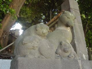 DSC03428.JPG