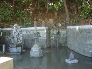 DSC03431.JPG
