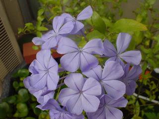 DSC03471.JPG