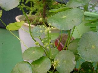 DSC03487.JPG