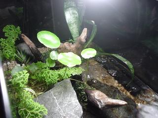 DSC03490.JPG