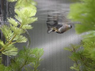 DSC03504.JPG