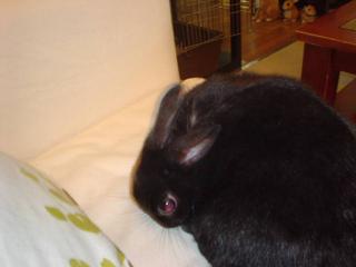 DSC03515.JPG