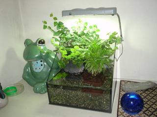 DSC03538.JPG