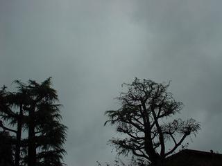 DSC03594.JPG