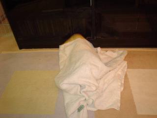 DSC03632.JPG