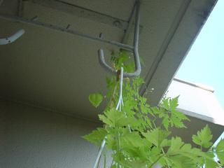 DSC03858.JPG