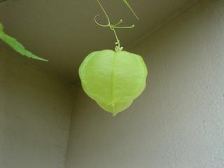 DSC03861.JPG