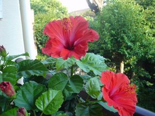 DSC03863.JPG
