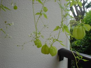DSC04026.JPG