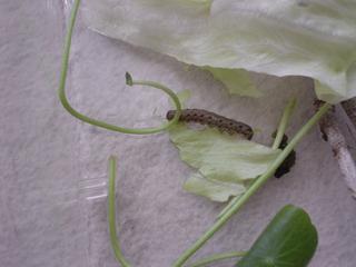 DSC04057.JPG