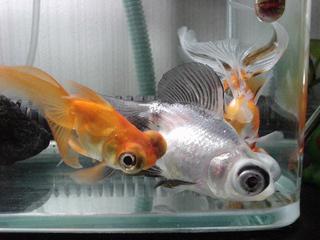 DSC0413-2.jpg