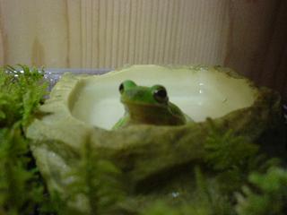 DSC04546.JPG