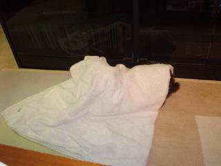 DSC04700.JPG