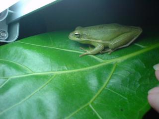 DSC04718.JPG