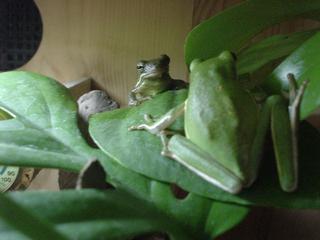 DSC04808.JPG